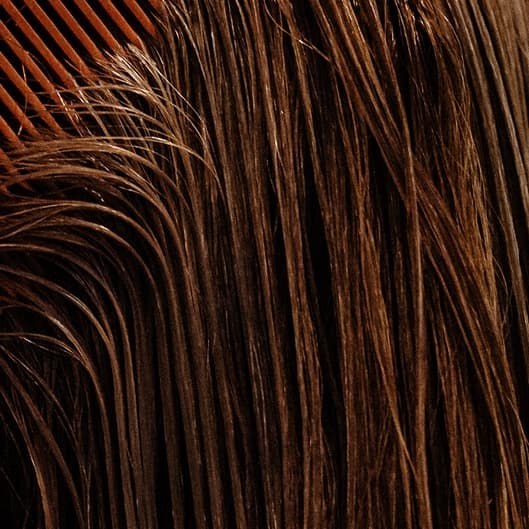 Root Touch Up at Just The Basix, LLC in Carlsbad, NM